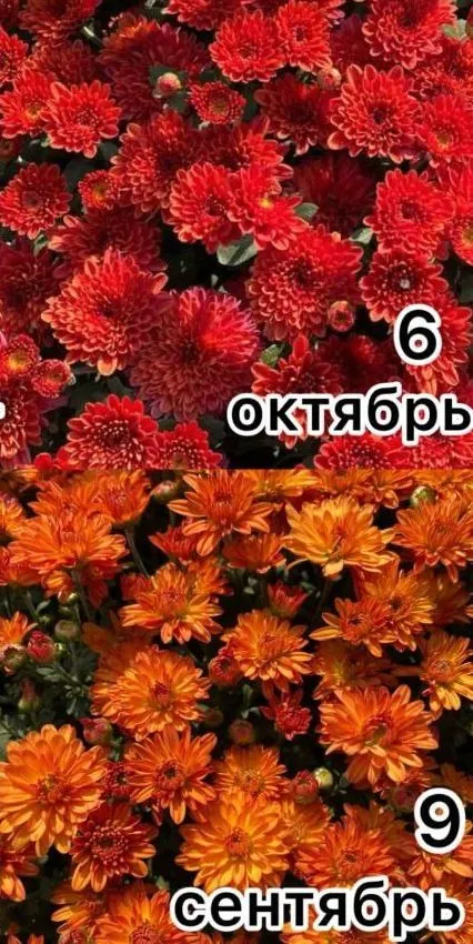 Октябрь